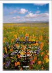 CD・かんたんメロディー付　ソプラノリコーダーで「ひまわりの約束」「花は咲く」