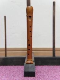 番号C011【中古品】(KUNG) クライネソプラニーノリコーダー 1108　材　運指
